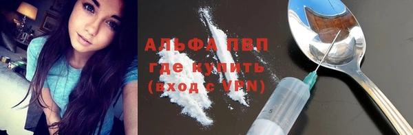 винт Алексин