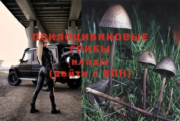 эйфоретик Алексеевка