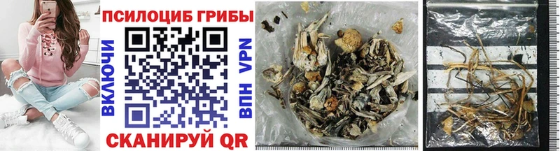 Псилоцибиновые грибы MAGIC MUSHROOMS  Абакан 