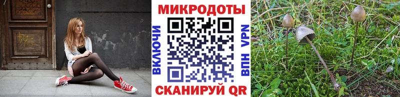 Псилоцибиновые грибы ЛСД Абакан