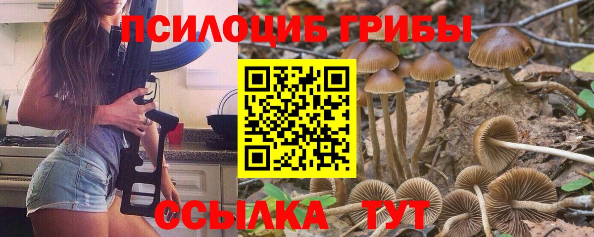 Псилоцибиновые грибы Magic Shrooms Абакан