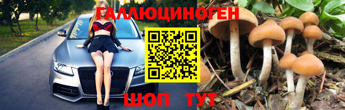 Абакан  Галлюциногенные грибы мухоморы  где найти наркотики  Галлюциногенные грибы GOLDEN TEACHER  Вход с VPN 